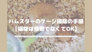 ハムスターのケージ掃除の手順【掃除は頻繁でなくてOK】