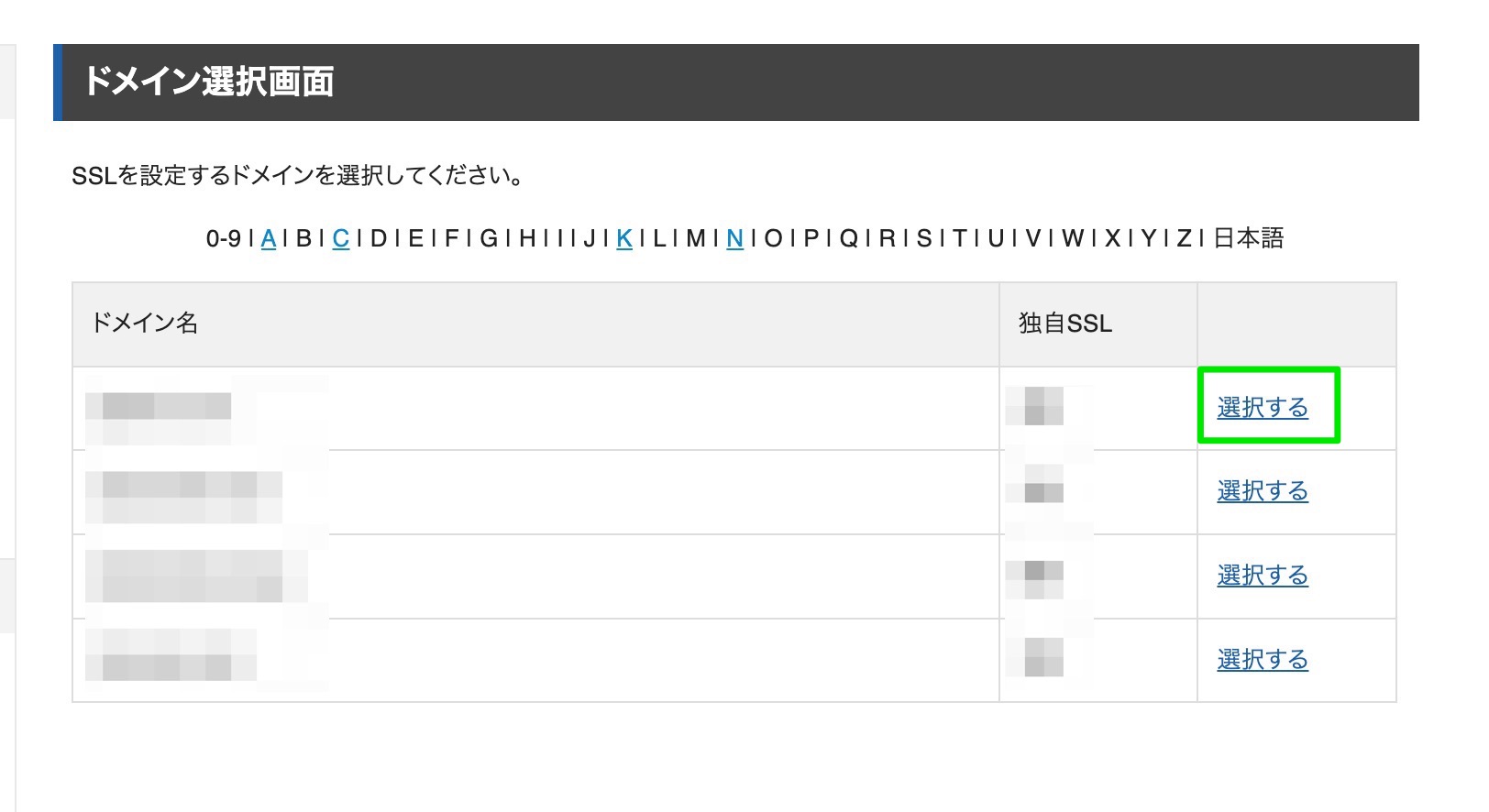 サーバーパネルのドメイン選択画面