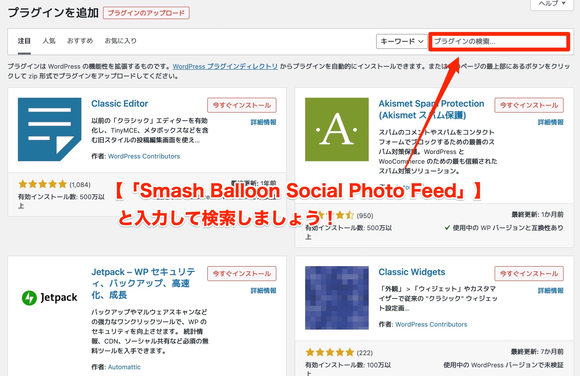 「Smash Balloon Social Photo Feed」検索